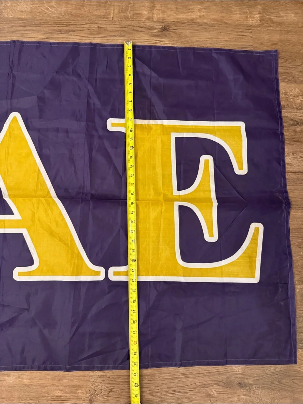 Purple and Gold Sigma Alpha Epsilon Fraternity Decorative Wall Flag